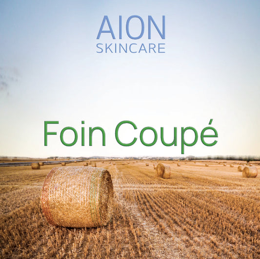 Aion Skincare Alcohol Free Aftershave Splash - Foin Coupé
